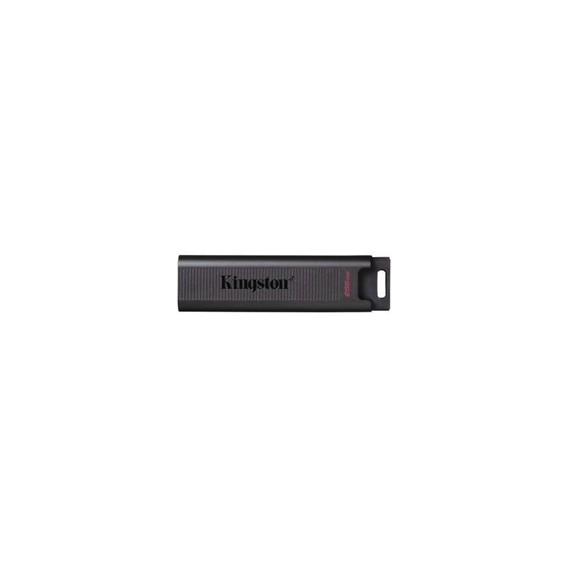 Kingston DataTraveler Max 256GB USB-C 3.2 Gen 2 USB stick Sort